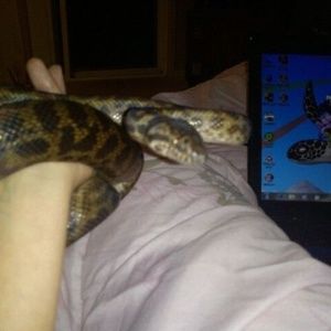 Meet your Posher, Barbara